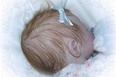 070aline15