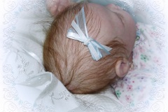 070aline16