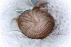 070aline17
