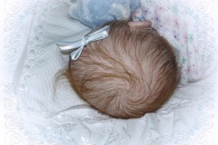 070aline18
