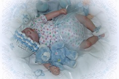070aline29