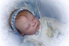 070aline36