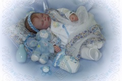 070aline40