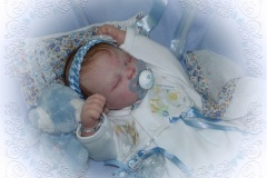 070aline41