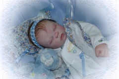 070aline42