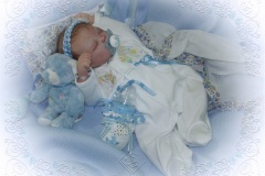 070aline48