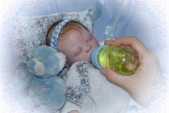 070aline53