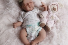 0742analivi01