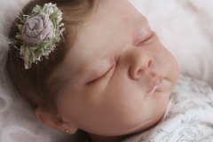0742analivi02