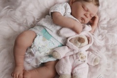0742analivi03