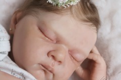 0742analivi04