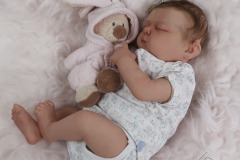 0742analivi06