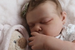 0742analivi07