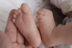 0742analivi08
