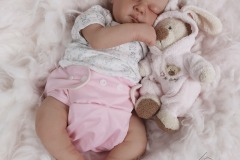 0742analivi12