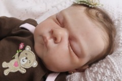 0742analivi15