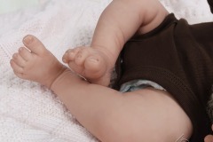 0742analivi16