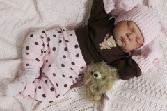0742analivi20