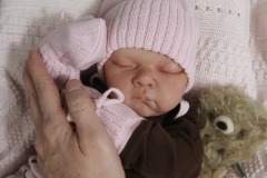 0742analivi21