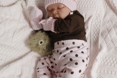 0742analivi22