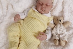 0742analivi24