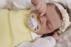0742analivi26