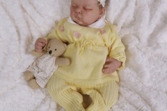 0742analivi27
