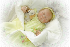023gemeosela02