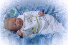 016andrew03