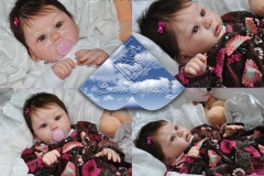 0266carolina01