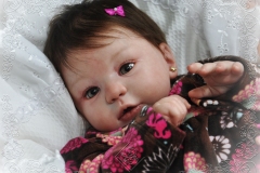 0266carolina03
