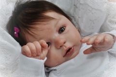 0266carolina11