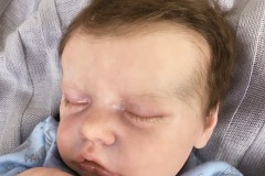 Davi