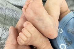 0743davi08