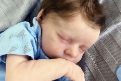 0743davi16