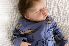 0743davi17