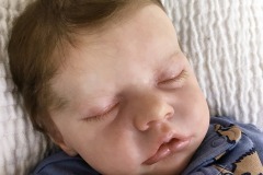 0743davi21