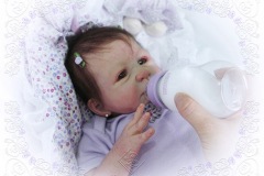 072-2008nov06