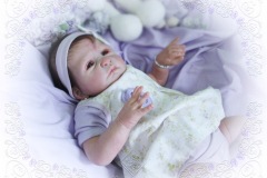 072-2008nov07