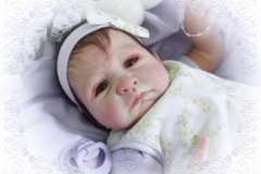 072-2008nov08