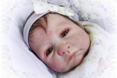 072-2008nov09