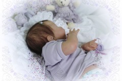 072-2008nov31