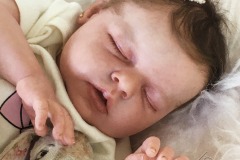 0745elenalorenzi11