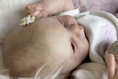 0762isabella22