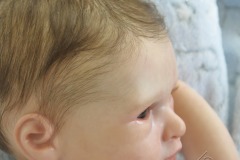 0736leo17