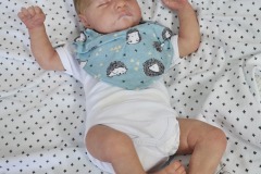 0722levi09