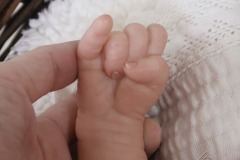 0739livia06