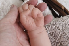 0739livia10