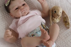 0739livia16