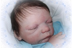 078miguel11